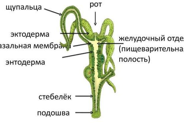 Рабочее зеркало кракен