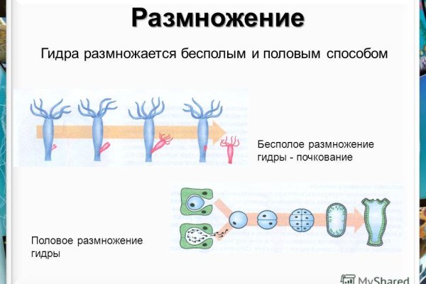 Кракен даркнет рынок