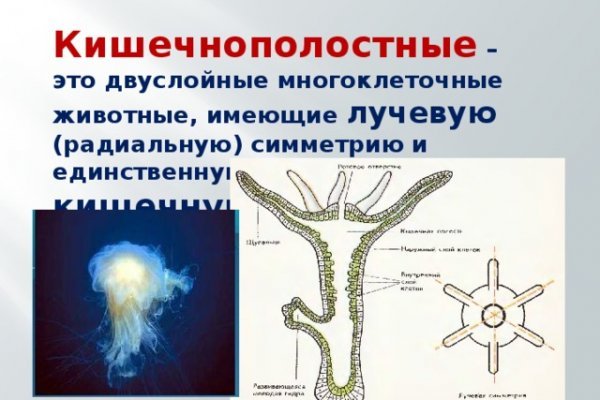 Кракен сайт ссылка настоящая